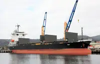 বাল্ক ক্যারিয়ার বিক্রির জন্য