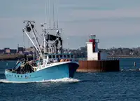 Purse seiner বিক্রির জন্য