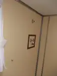 বাল্ক বাহক বিক্রির জন্য
