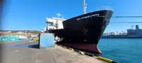 Ro-Ro ship বিক্রির জন্য