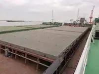 বাল্ক বাহক বিক্রির জন্য
