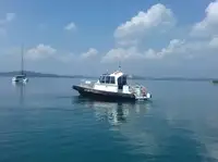 ক্রু বোট বিক্রির জন্য