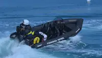অনমনীয় inflatable নৌকা বিক্রির জন্য