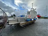 টহল নৌকা বিক্রির জন্য