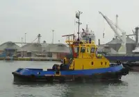 টাউবোট বিক্রির জন্য