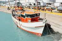 Trawler বিক্রির জন্য