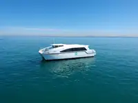 ক্যাটামারান বিক্রির জন্য