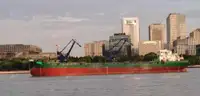 কার্গো লাইনার বিক্রির জন্য