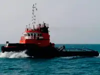 টাউবোট বিক্রির জন্য