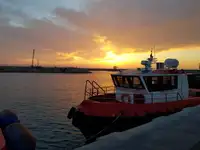 ওয়ার্কবোট বিক্রির জন্য