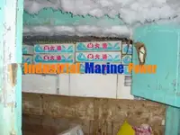 লংলাইনার বিক্রির জন্য