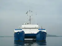 বহুমুখী বিক্রির জন্য