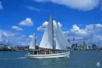 ড্রেজার বিক্রির জন্য