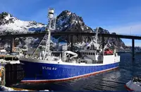 Purse seiner বিক্রির জন্য