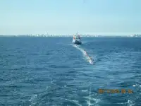 বাল্ক বাহক বিক্রির জন্য