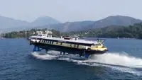 Ro-Ro ship বিক্রির জন্য