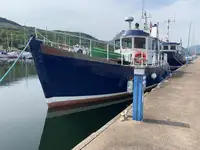 পাইলট বোট বিক্রির জন্য