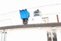 ফেরি জাহাজ বিক্রির জন্য