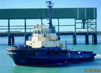 টাউবোট বিক্রির জন্য