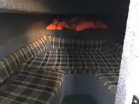 পাইলট বোট বিক্রির জন্য