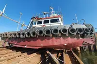 টাউবোট বিক্রির জন্য