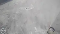 কন্টেইনার জাহাজ বিক্রির জন্য