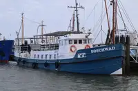বার্জ বিক্রির জন্য