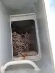 ফেরি জাহাজ বিক্রির জন্য