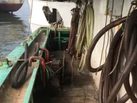 স্কুইড জিগার বিক্রির জন্য