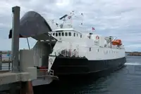 বাল্ক বাহক বিক্রির জন্য