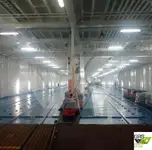 Ro-Ro ship বিক্রির জন্য
