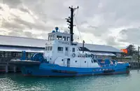 টাউবোট বিক্রির জন্য