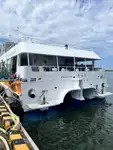 ক্যাটামারান বিক্রির জন্য