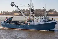 Purse seiner বিক্রির জন্য
