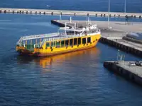 ক্রুজফেরি বিক্রির জন্য