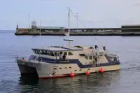 সার্ভে জাহাজ বিক্রির জন্য