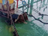 বার্জ বিক্রির জন্য