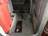 ক্রুজ জাহাজ বিক্রির জন্য