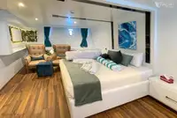 ডাইভ সাপোর্ট বিক্রির জন্য