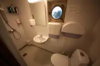 বাল্ক বাহক বিক্রির জন্য