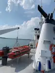 বাল্ক বাহক বিক্রির জন্য