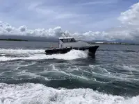 পাইলট নৌকা বিক্রির জন্য