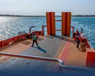 বাল্ক বাহক বিক্রির জন্য
