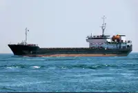 বাল্ক ক্যারিয়ার বিক্রির জন্য