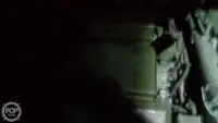 ট্রলার বিক্রির জন্য