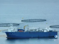 রিফার জাহাজ বিক্রির জন্য