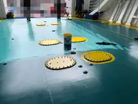 রো-রো জাহাজ বিক্রির জন্য