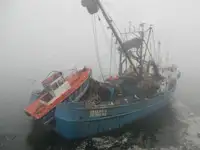 পার্স সেইনার বিক্রির জন্য