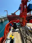 General Cargo/Multi-purpose বিক্রির জন্য