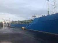 বাল্ক বাহক বিক্রির জন্য